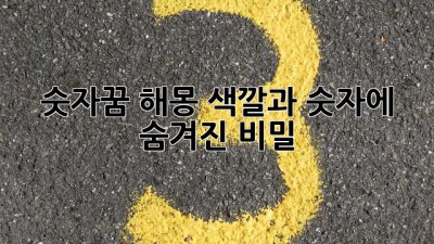 숫자꿈 해몽: 색깔과 숫자에 숨겨진 비밀 🌈🔮